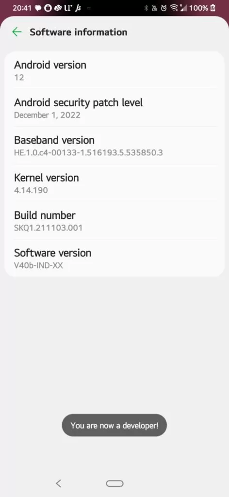 How To Enable Developer Options In LG G8X ThinQ