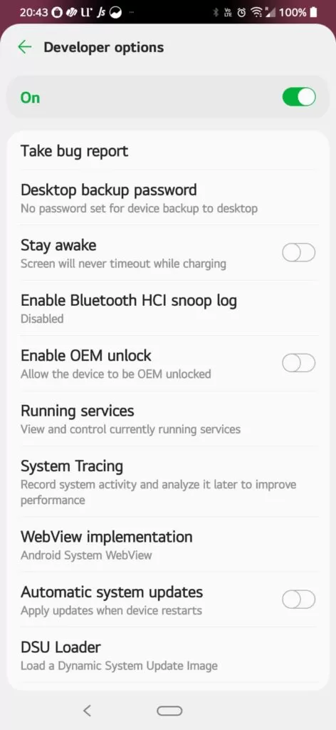 How To Enable Developer Options In LG G8X ThinQ