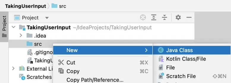 How To Take User Input Using Java
